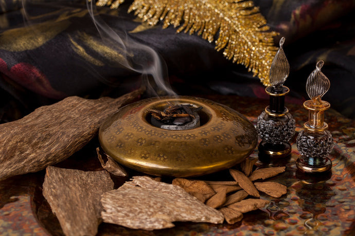 Everything You Need to Know About Oud Wood: The Benefits and the Scents