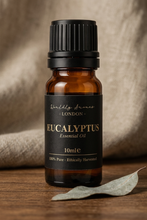 Load image into Gallery viewer, Eucalyptus Essential Oil · Pure Oil · 10ml
