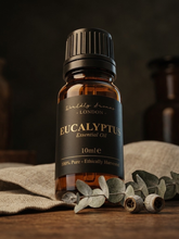 Load image into Gallery viewer, Eucalyptus Essential Oil · Pure Oil · 10ml
