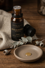 Load image into Gallery viewer, Eucalyptus Essential Oil · Pure Oil · 10ml
